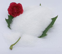 Pa fath o polyacrylamide sy'n fwy effeithiol ar gyfer trin dŵr gwastraff golchi ceir?