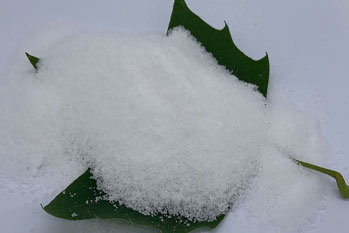 Dewis a Perfformiad Polyacrylamide (PAM) mewn Triniaeth Dŵr Gwastraff Trefol