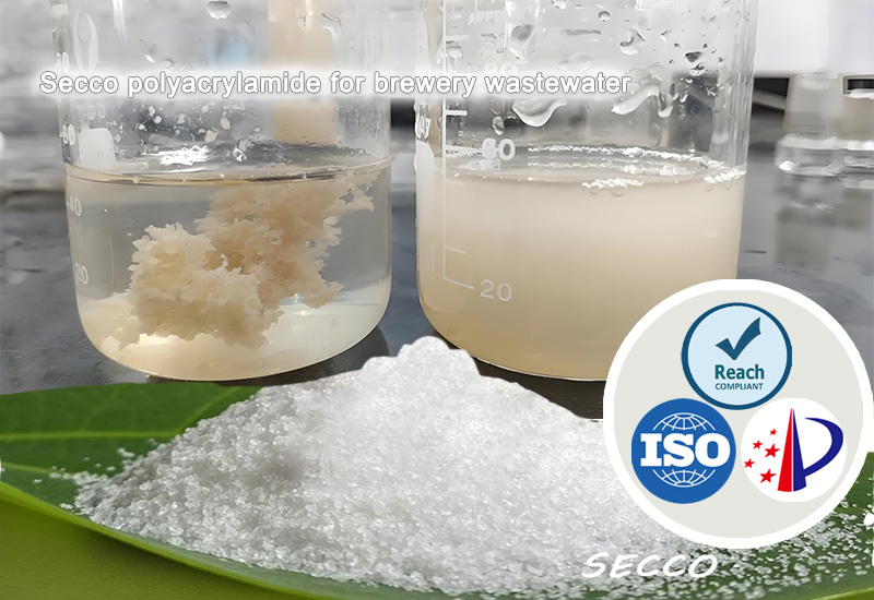 Dewis ac effeithiolrwydd Polyacrylamide (PAM) mewn trin dŵr gwastraff brewery