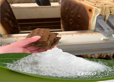 Polyacrylamide (PAM) mewn Pwysau Filter Pl&acirc;t a Ffr&acirc;m: Dewis ac Efeithiolrwydd